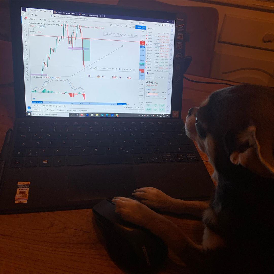 賣空（Short Selling）是什麼？專業解析這項看跌市場的交易策略